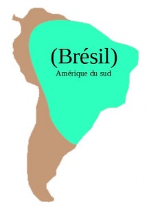 Capture brésil