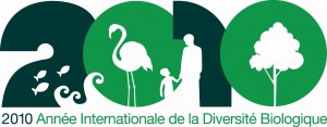 IYB2010_Logo_French