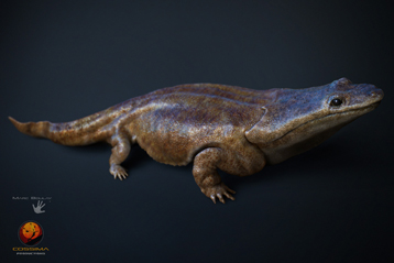 © Marc Boulay Reconstitution 3D de Metoposaurus algarvensis.