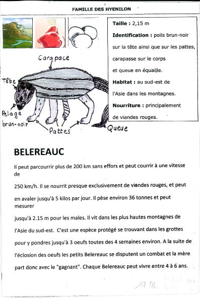 belereaux2