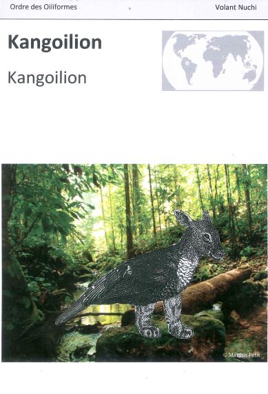 kangoilion1