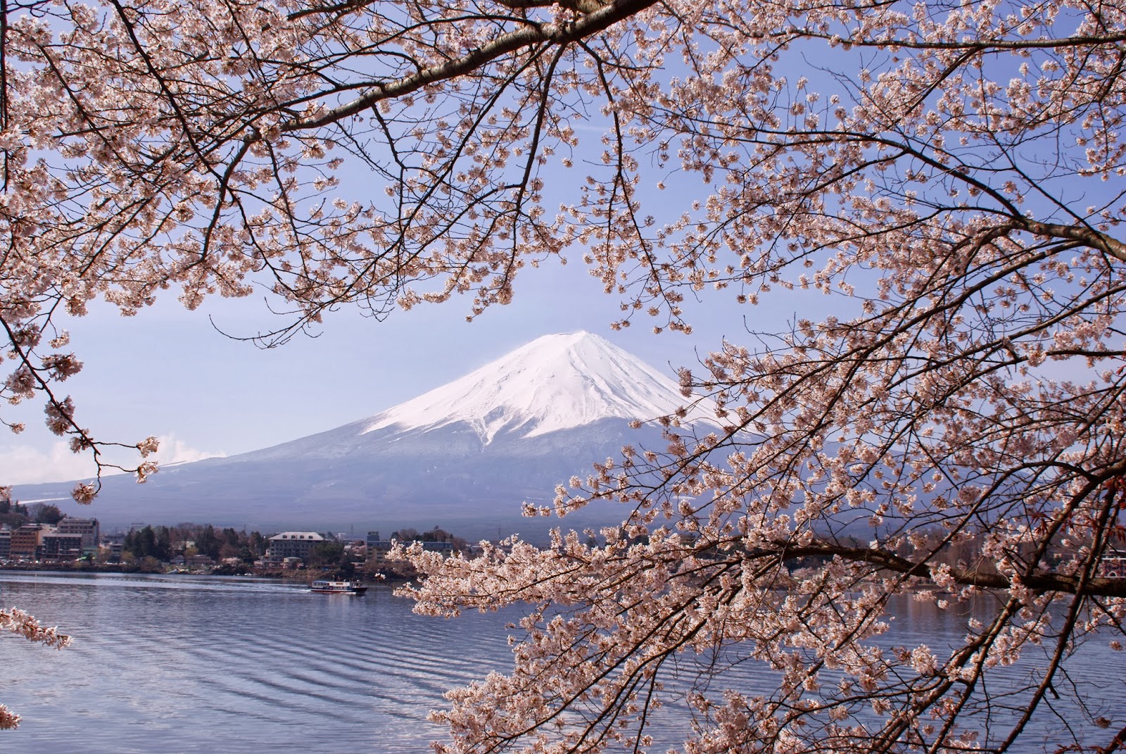 Lake_Kawaguchiko_Sakura_Mount_Fuji_2