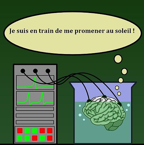 475px-Cerveau_dans_une_cuve