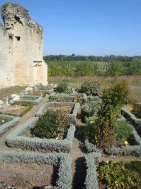 Le jardin de Sallebruneau