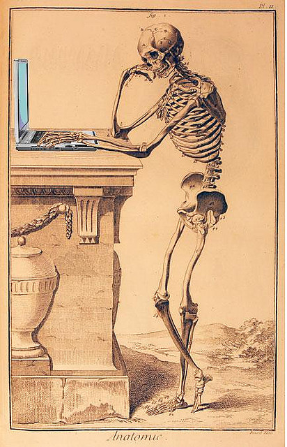 Numérique : Squelette et son ordinateur