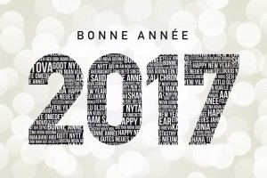 bonne_annee_2017_1