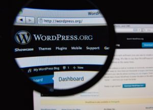 WordPress est l’un des systèmes de gestion de contenu les plus puissants à ce jour. Les gens aiment WordPress parce qu’il est si facile à utiliser. 