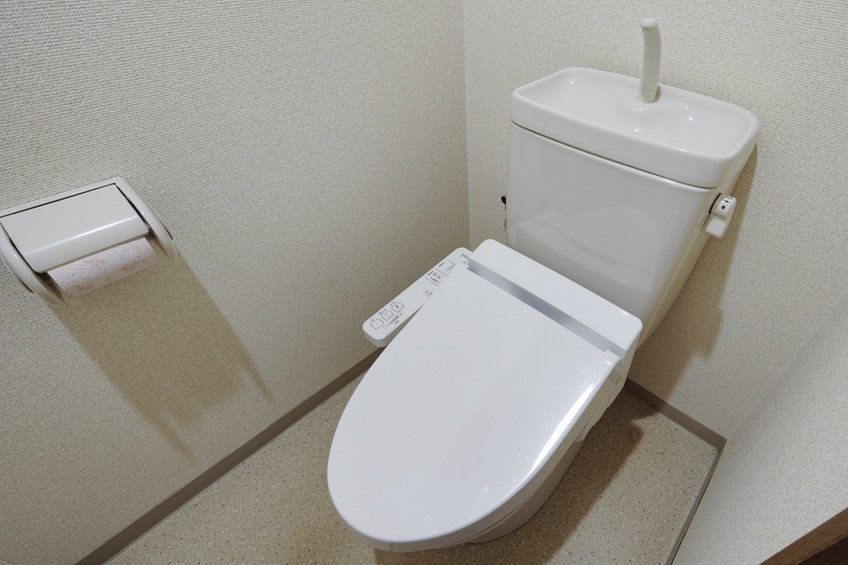 exemple toilettes japonaises