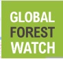 Logo_Global_forest_watch