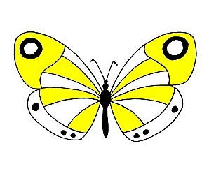 papillon-jaune.jpg