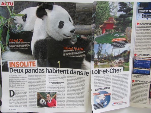 panda journal