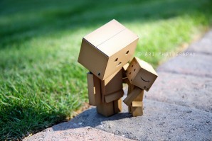 Picture-of-Danbo