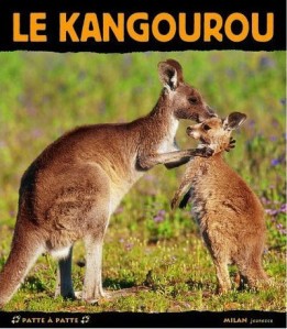 kangourou.jpg