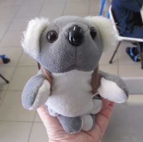 koala-b.jpg