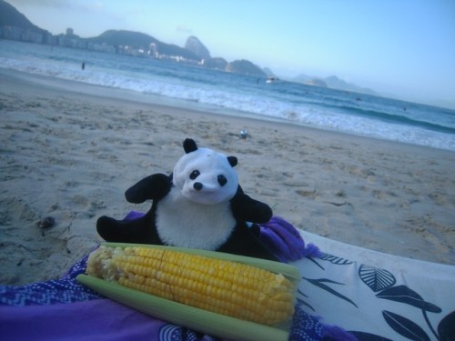 un panda à Rio 028