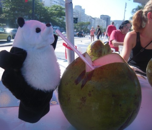 un panda à Rio 016