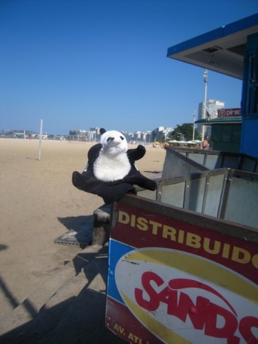 un panda à Rio 015