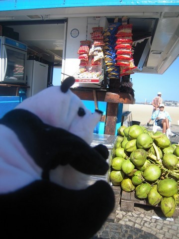 un panda à Rio 012