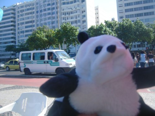un panda à Rio 020