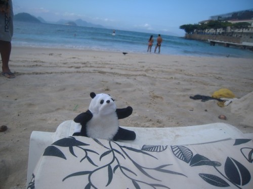 un panda à Rio 021