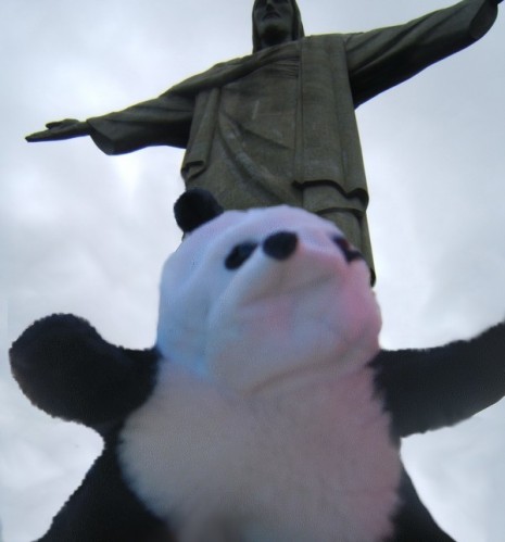 un panda à Rio 045a