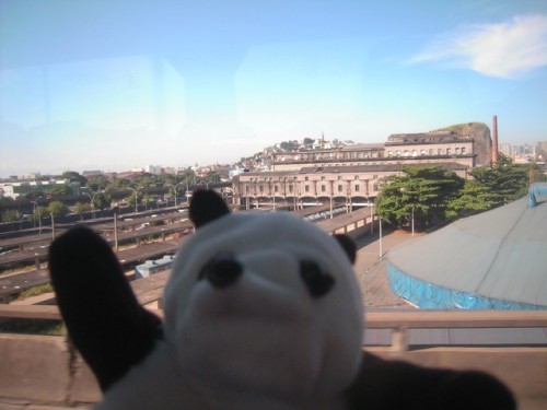 un panda à Rio 047