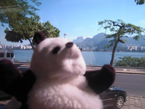 un panda à Rio 042