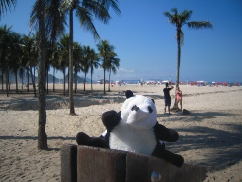 un panda à Rio 013
