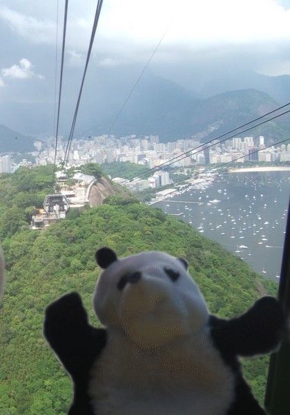 un panda à Rio 034