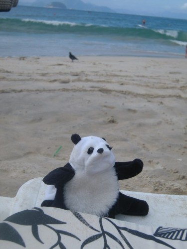 un panda à Rio 022