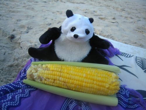 un panda à Rio 027