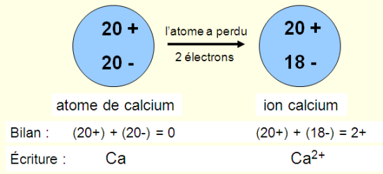 Formation de l'ion calcium