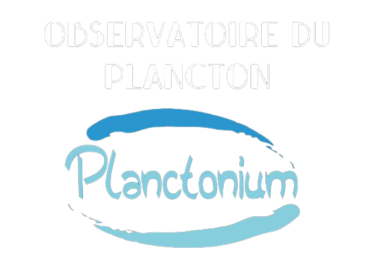 Observatoire du plancton d'eau douce !