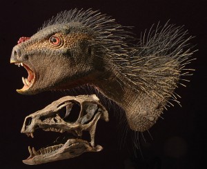 Heterodontosaurus_model