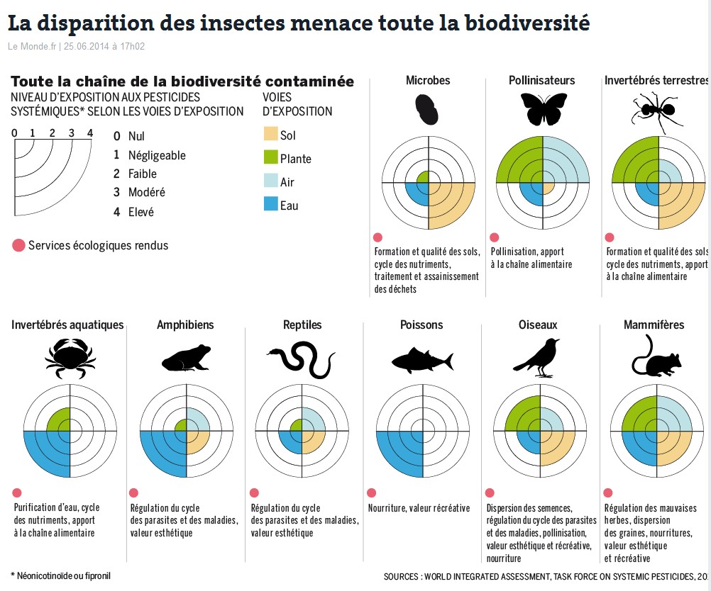 disparition insectes menace biodiversité
