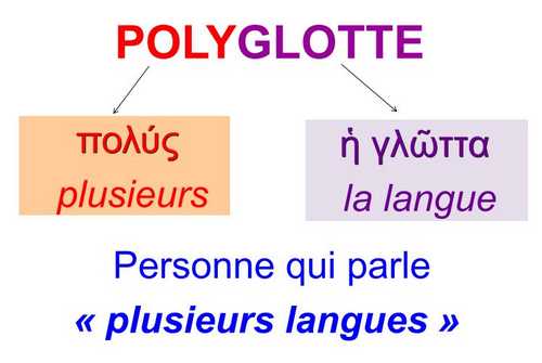 polyglotte1
