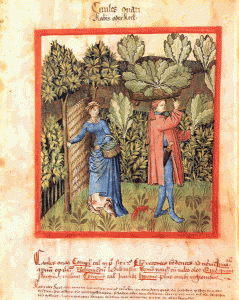 Albucasis, Tacuinum Sanitatis, BNF