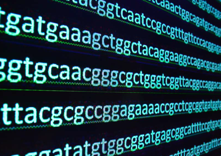 1ère spé activité séquençage du génome et reconstitution de l’histoire humaine