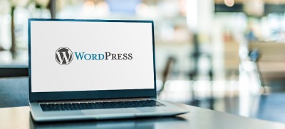 En tant que WordPress débutant, il est bon de connaître quelques terminologies liées à WordPress, comme le tableau de bord de l’administrateur, l’éditeur visuel, les thèmes, les plugins, etc.