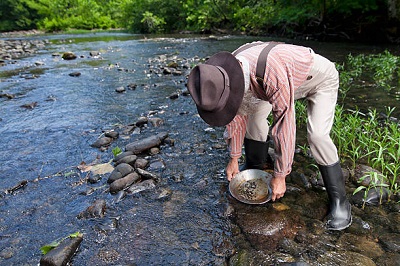 Mineur 49er dans un ruisseau en train de chercher de l'or. Mise au point sélective sur le chapeau.