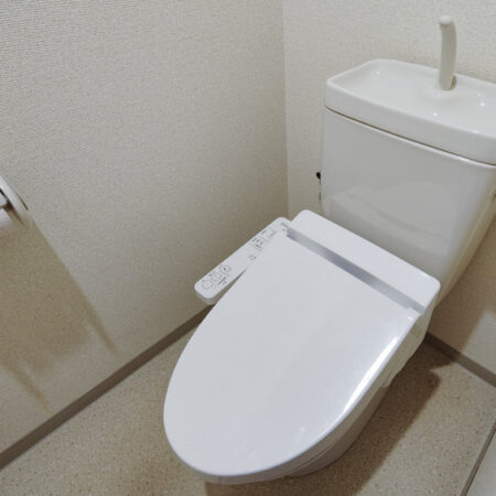 exemple toilettes japonaises