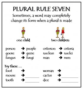 plural nouns spelling plurals singular grammar pluriel spell 6eme vocabulary speak lewebpedagogique spelol